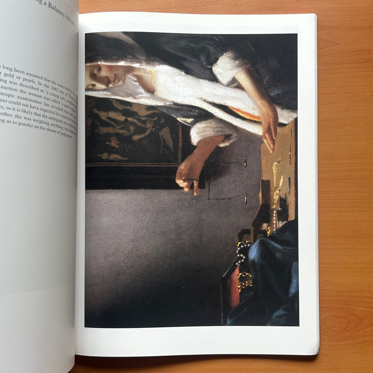 Vermeer  -  Martin Bailey image 10