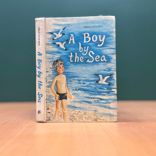 A Boy by the Sea  - Nikolai Dubov image 0