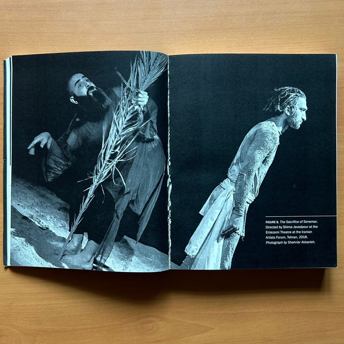 Oblivion and Other Plays from Post-Revolutionary Iran image 6