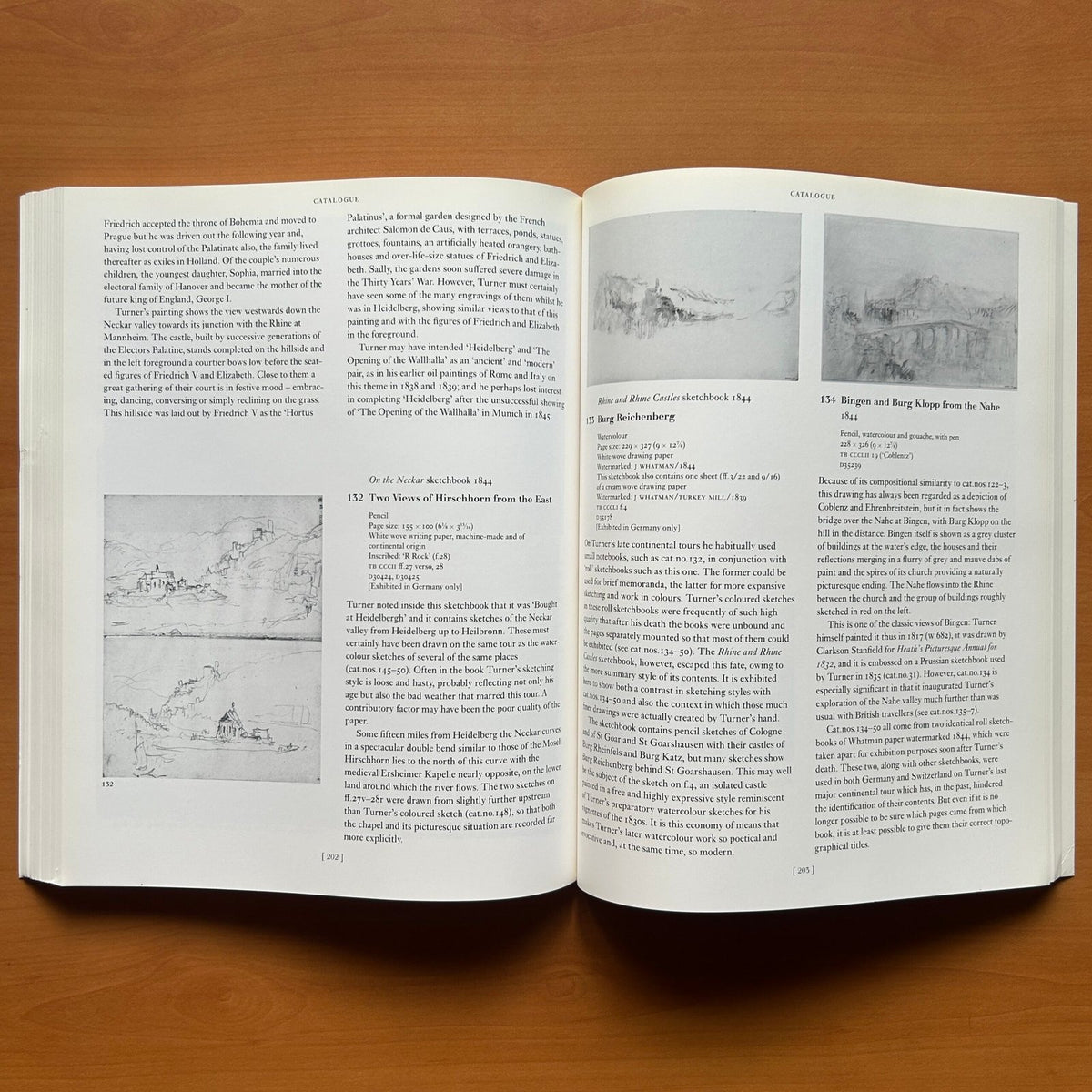 Turner in Germany  - Cecilia Powell image 11