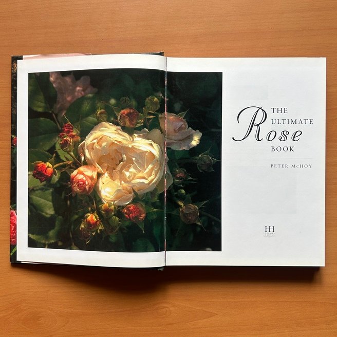 The Ultimate Rose Book  -  Peter McHoy image 1
