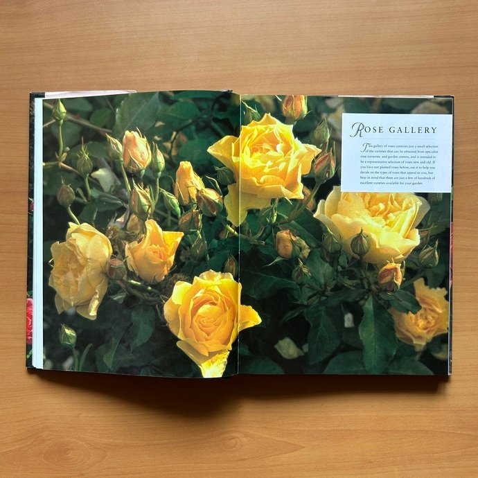The Ultimate Rose Book  -  Peter McHoy image 7