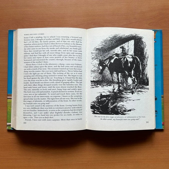 Horse &amp; Pony Stories  -  Jane Carruth image 10