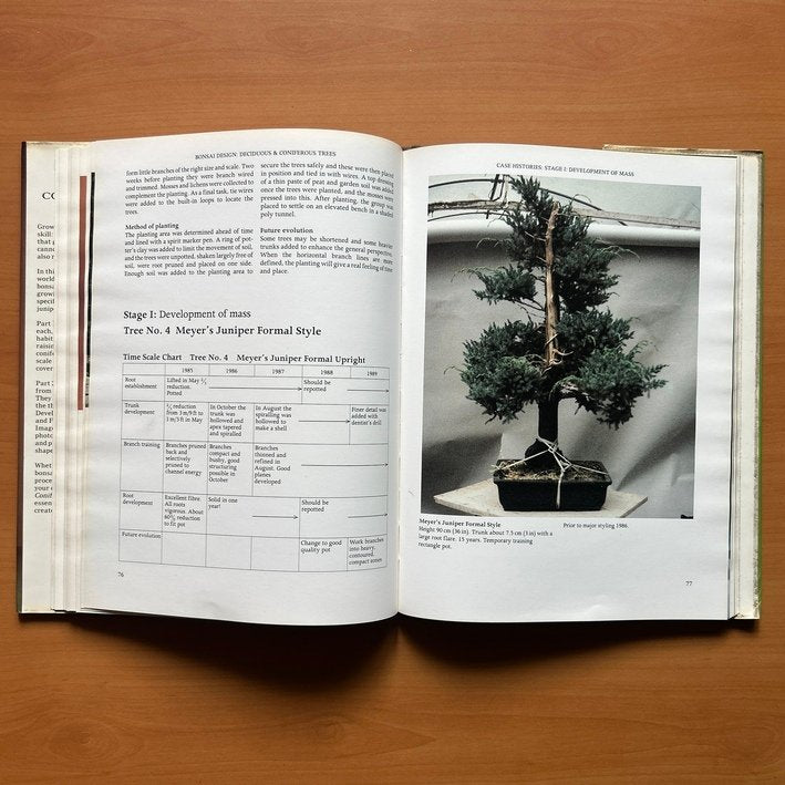 Bonsai Design: Deciduous and Coniferous Trees -  Peter D. Adams image 8