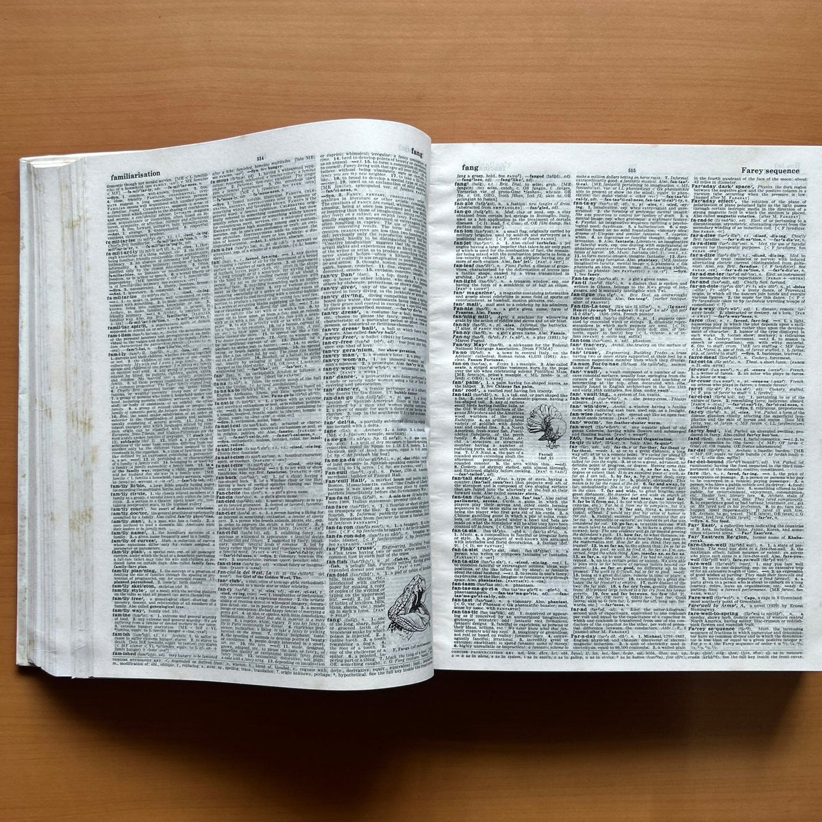 Webster’s Encyclopedic Unabridged Dictionary image 7