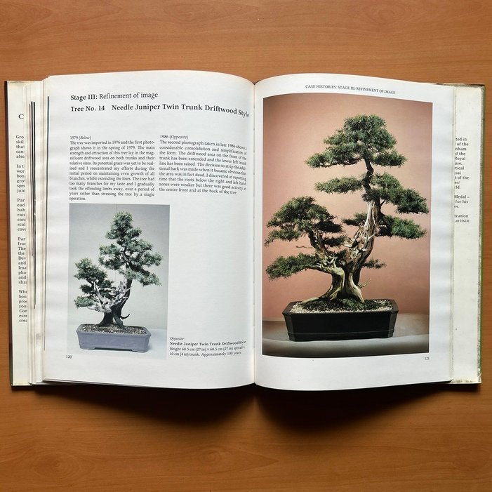 Bonsai Design: Deciduous and Coniferous Trees -  Peter D. Adams image 13