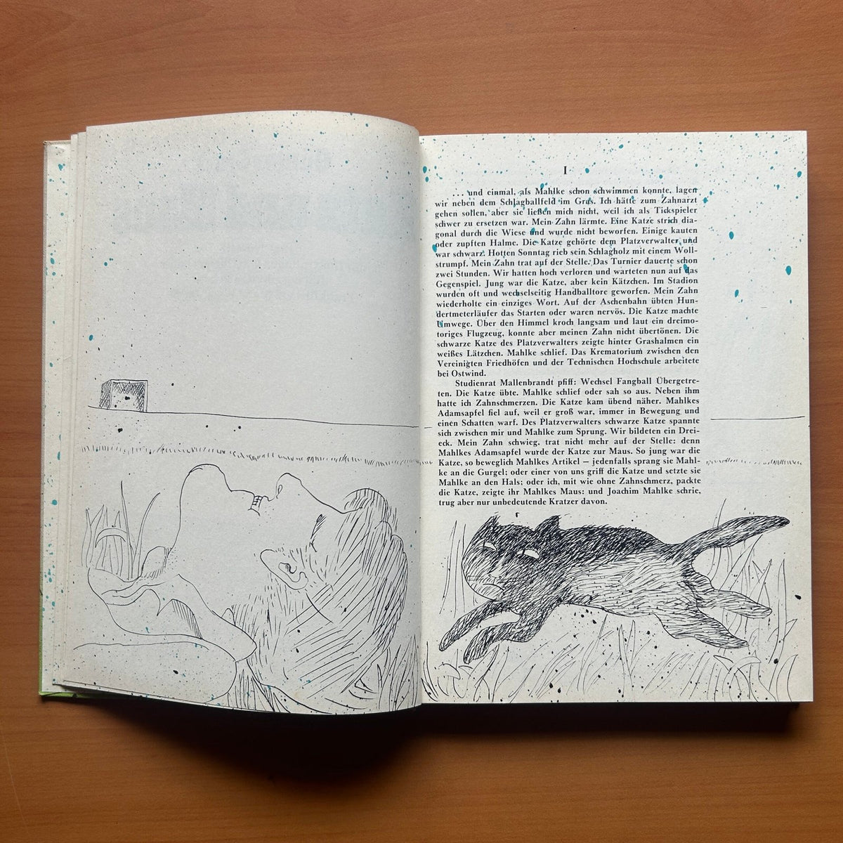 Katz und Maus  - Günter Grass image 4