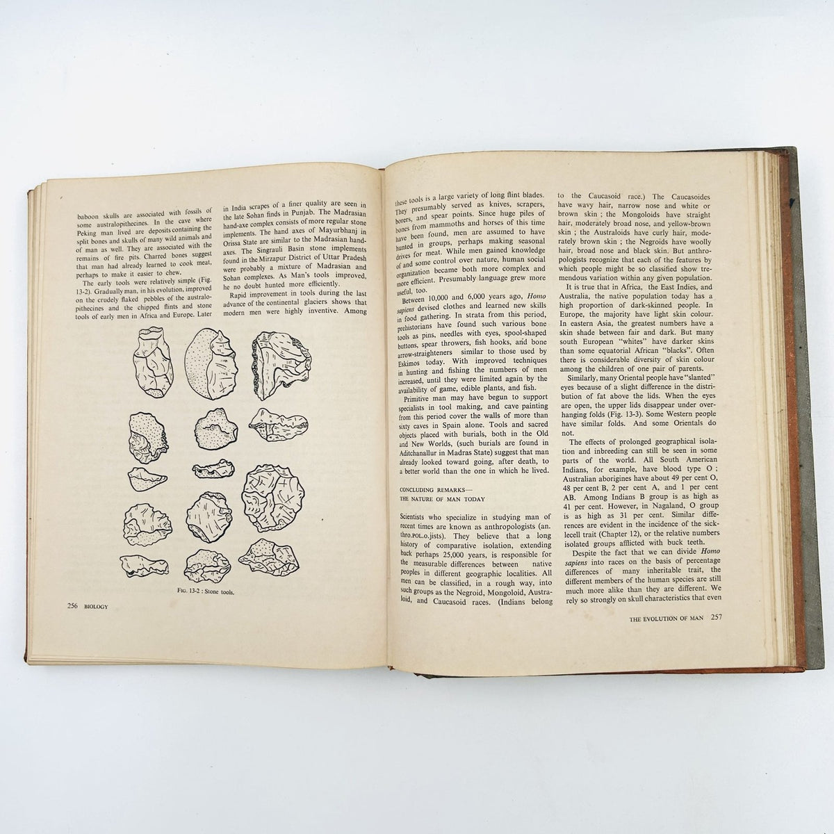 BIOLOGY: AN INQUIRY INTO LIFE (2 Volume Set) image 12