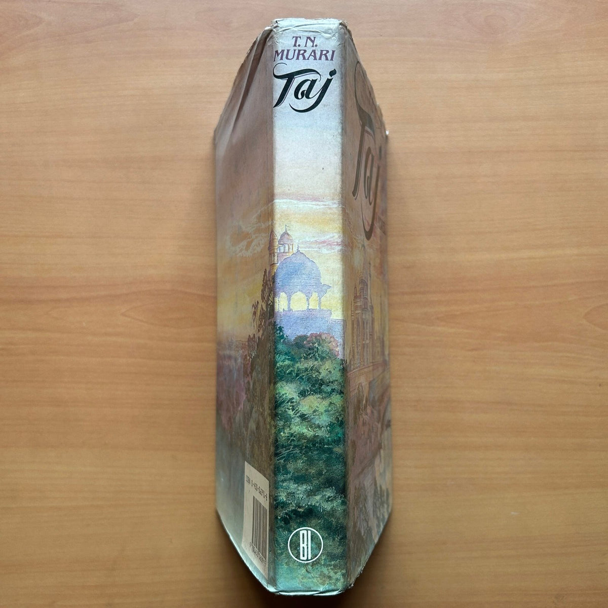 Taj – A Novel  - T. N. Murari image 1