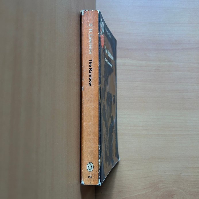 The Rainbow  - D. H. Lawrence image 1