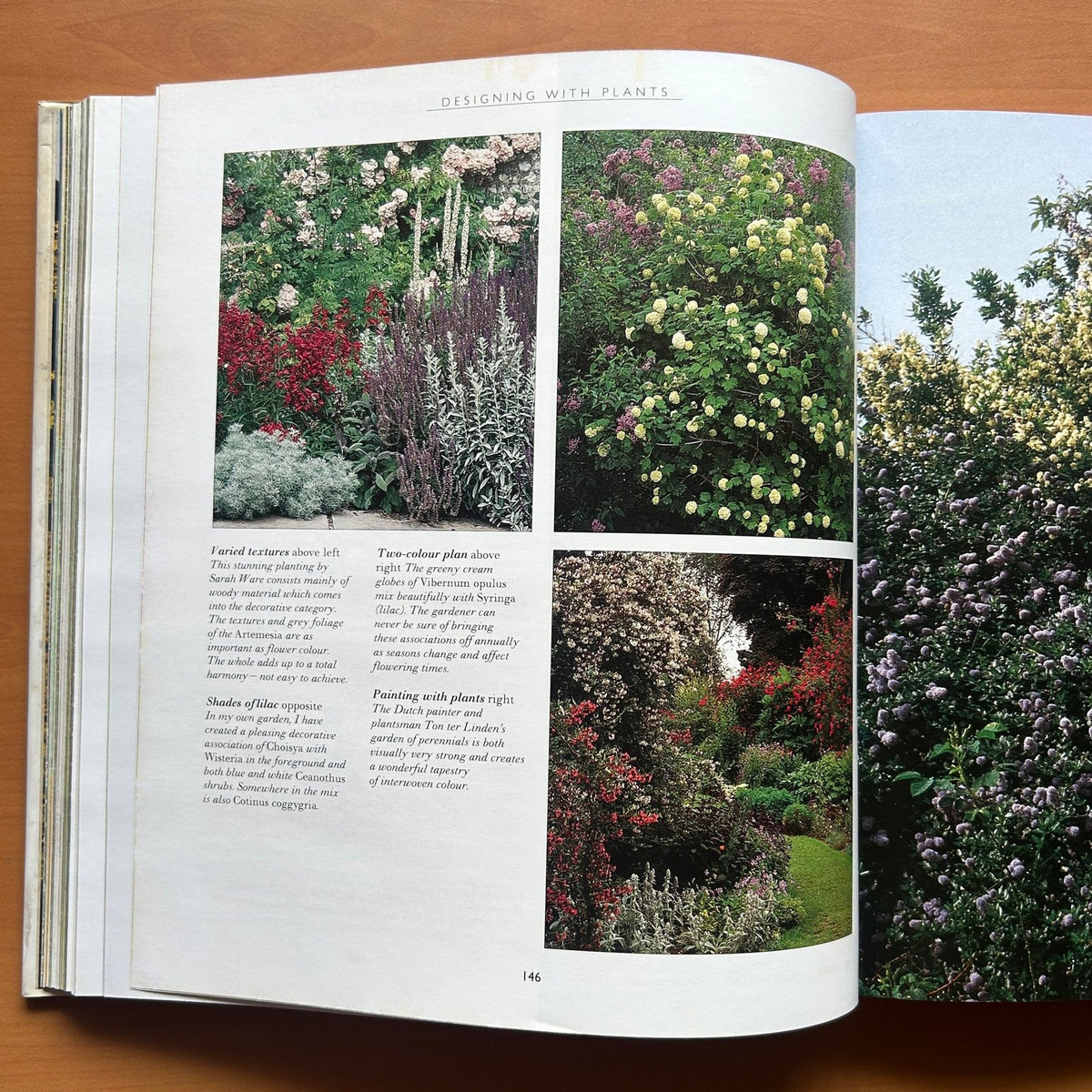 Garden Design - John Brookes image 15