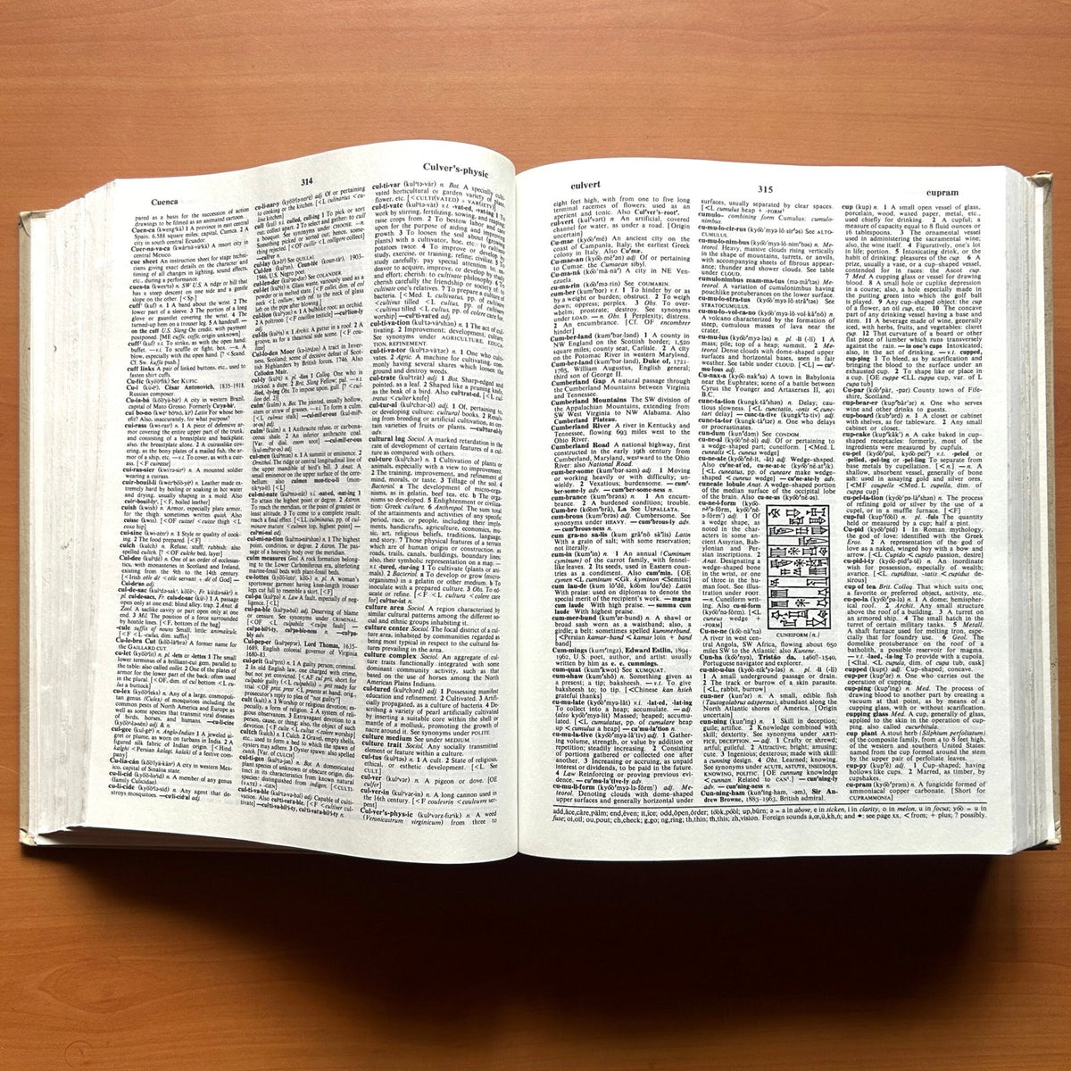 Webster Comprehensive Dictionary (2 Volumes Set) image 6
