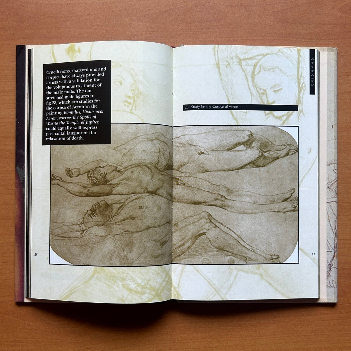 Ingres  -  Patrick Bade image 7