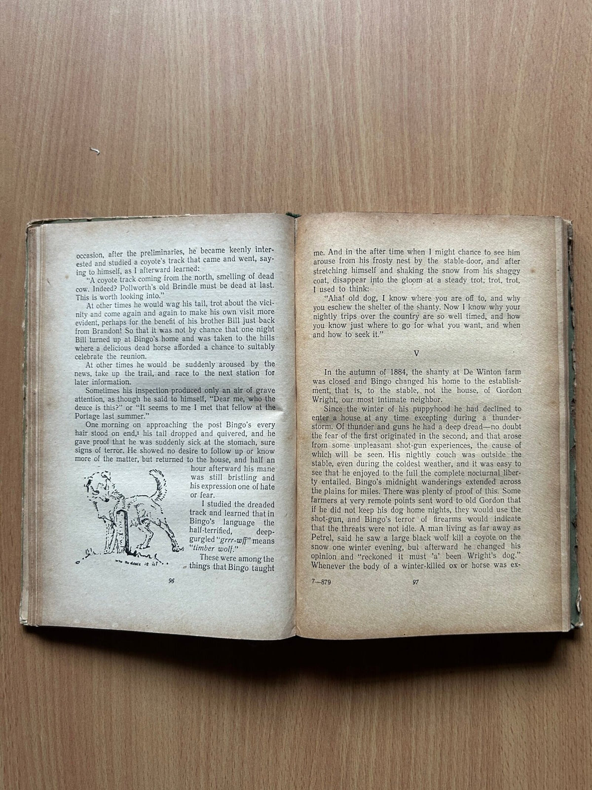 Lobo, The King of Currumpaw and Other Stories by Ernest Seton-Thompson image 5