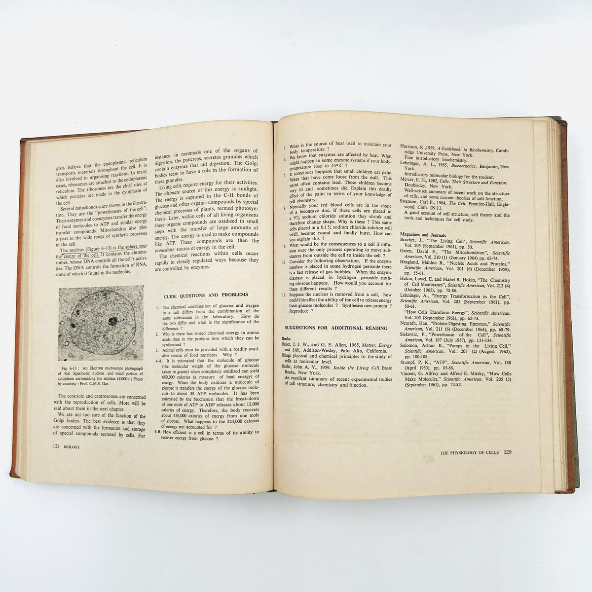BIOLOGY: AN INQUIRY INTO LIFE (2 Volume Set) image 10