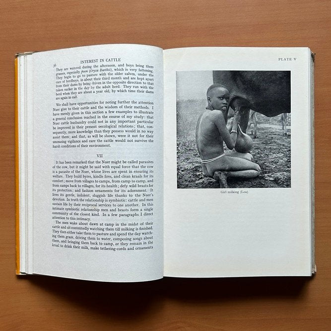 The Nuer: A Description of the Modes of Livelihood and Political Institutions of a Nilotic People  - E. E. Evans-Pritchard image 7