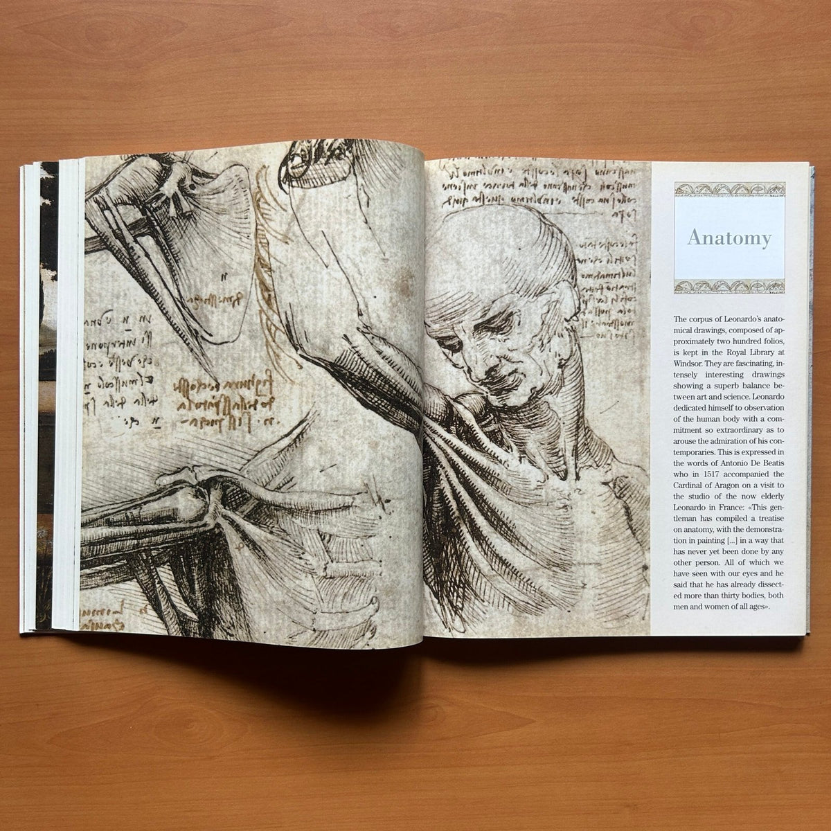 Leonardo da Vinci -  Carlo Pedretti image 16