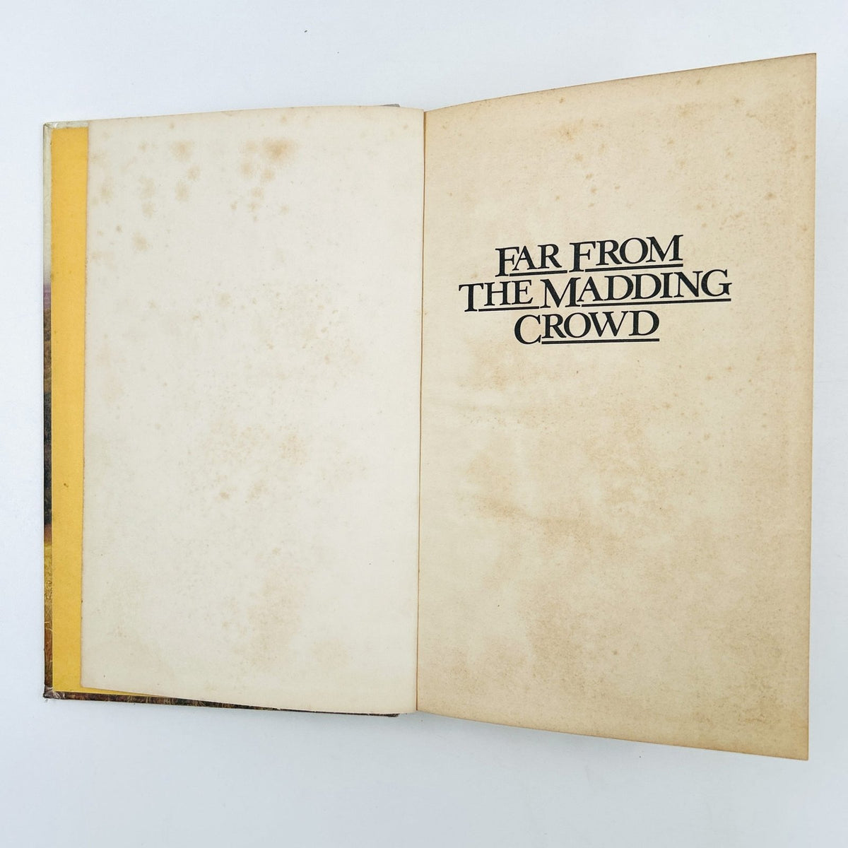 FAR FROM THE MADDING CROWD by Thomas Hardy image 3