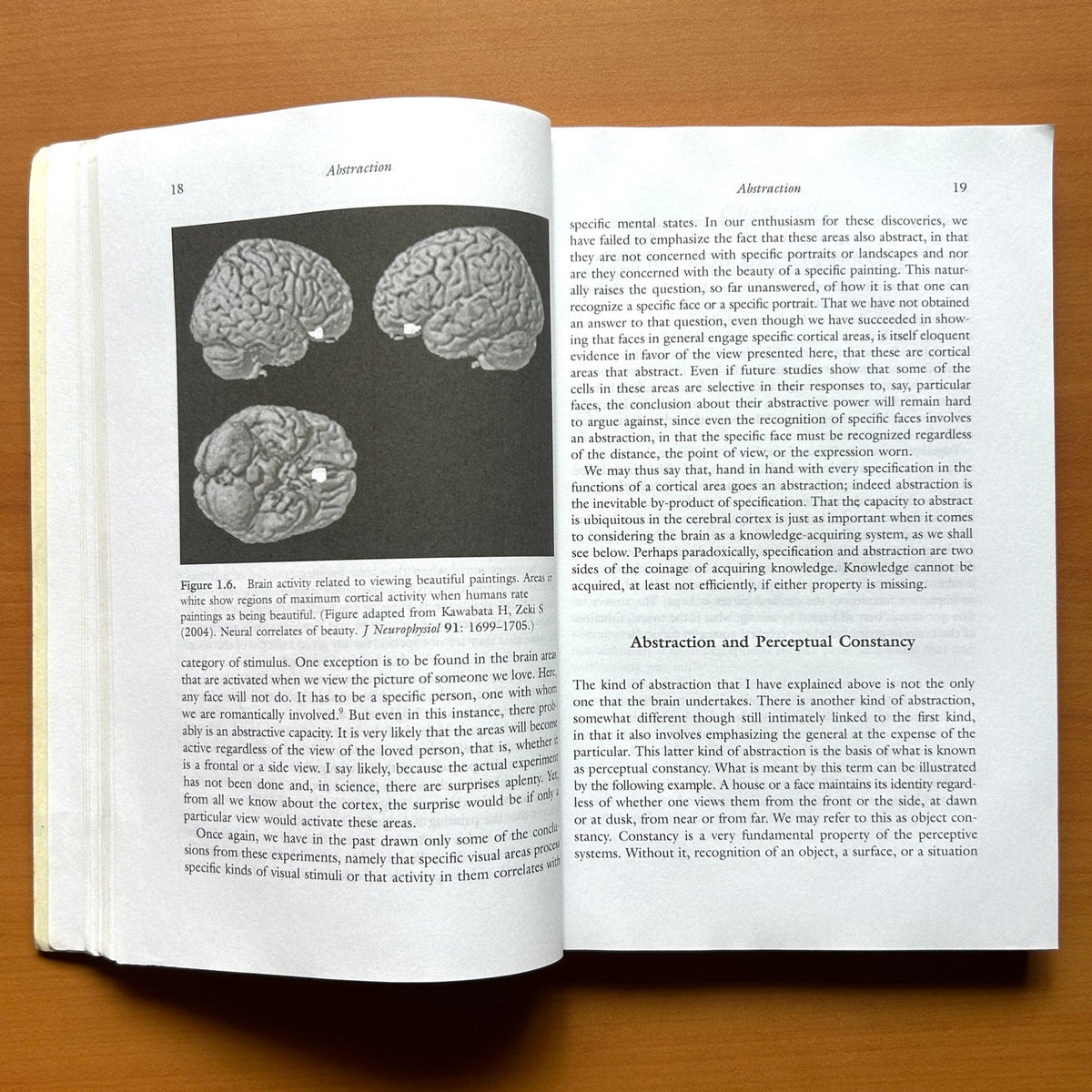 Splendors and Miseries of the Brain: Love, Creativity, and the Quest for Human Happiness - Semir Zeki image 5