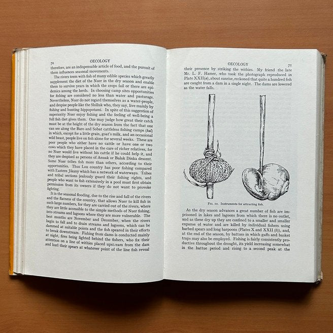 The Nuer: A Description of the Modes of Livelihood and Political Institutions of a Nilotic People  - E. E. Evans-Pritchard image 8