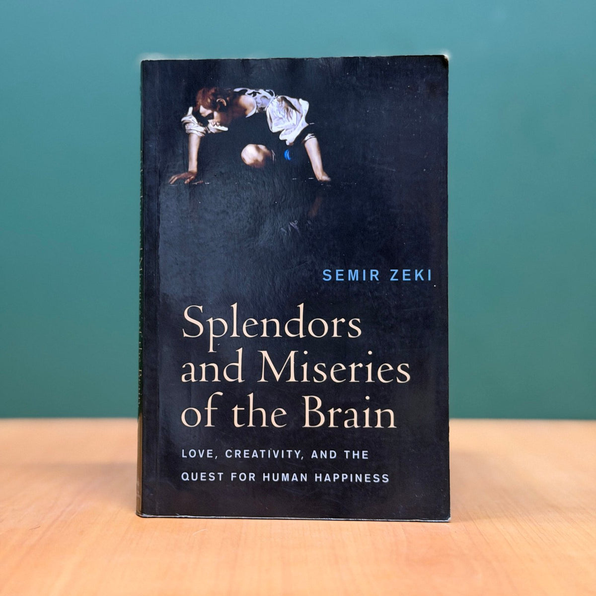 Splendors and Miseries of the Brain: Love, Creativity, and the Quest for Human Happiness - Semir Zeki image 0