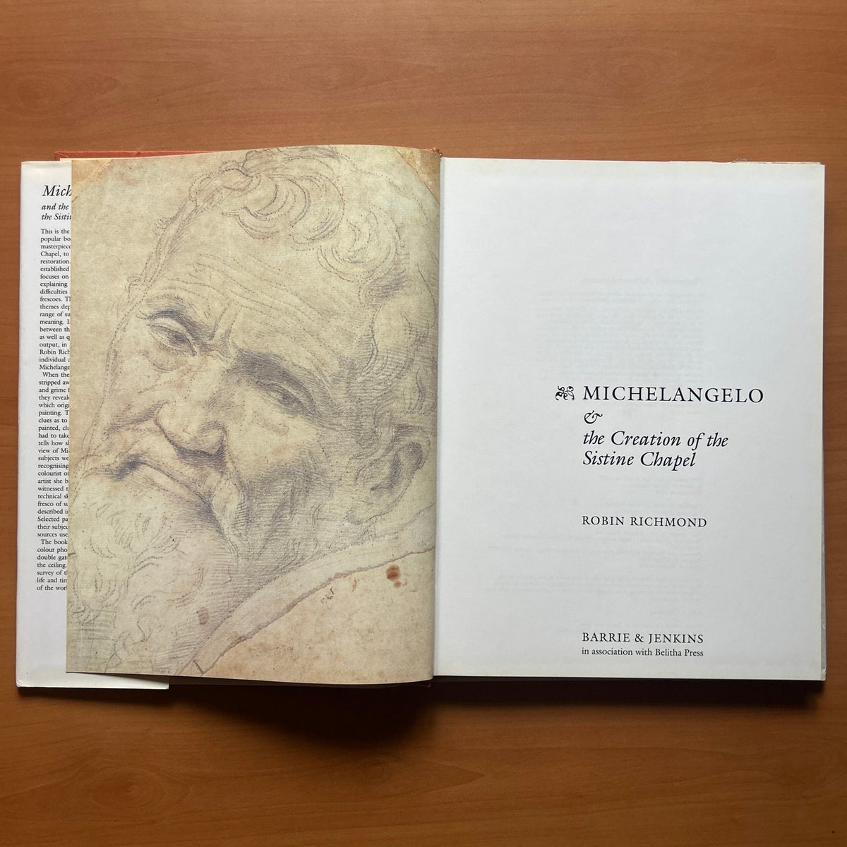 Michelangelo and the Creation of the Sistine Chapel  - Robin Richmond image 1