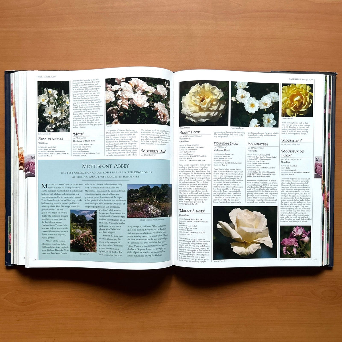 Encyclopedia of Roses  - Charles Quest-Ritson · Brigid Quest-Ritson image 11