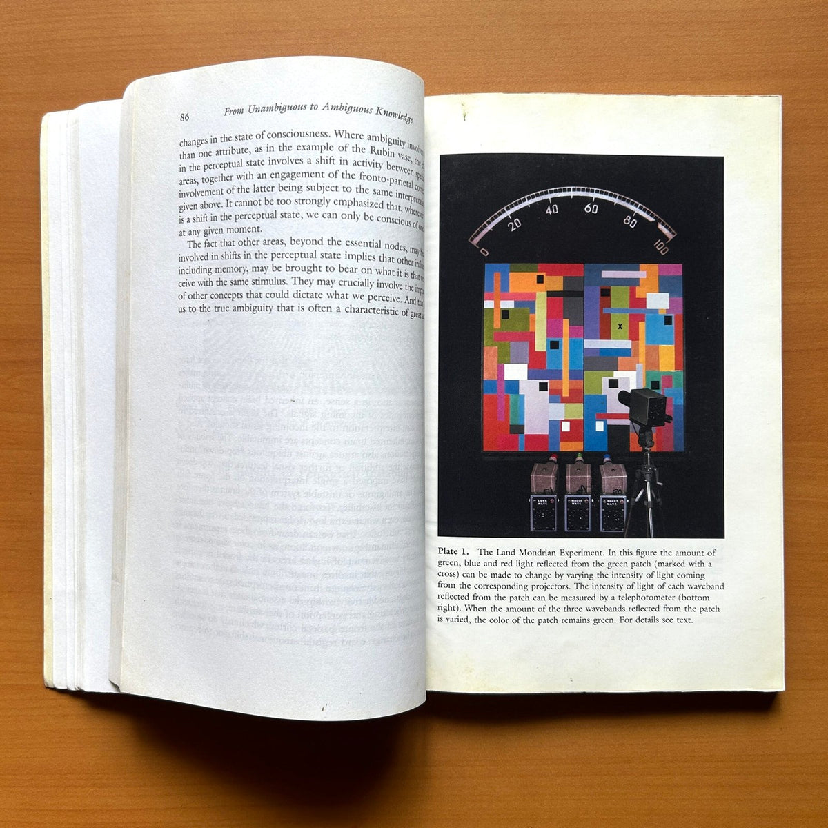 Splendors and Miseries of the Brain: Love, Creativity, and the Quest for Human Happiness - Semir Zeki image 6