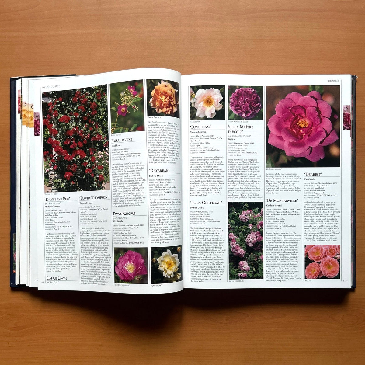 Encyclopedia of Roses  - Charles Quest-Ritson · Brigid Quest-Ritson image 8
