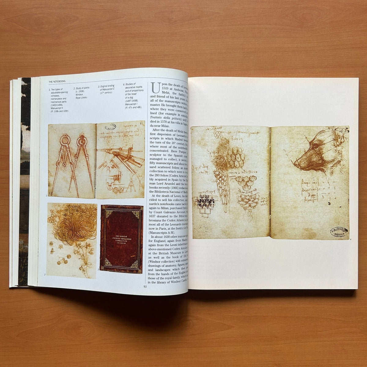 Leonardo da Vinci -  Carlo Pedretti image 15