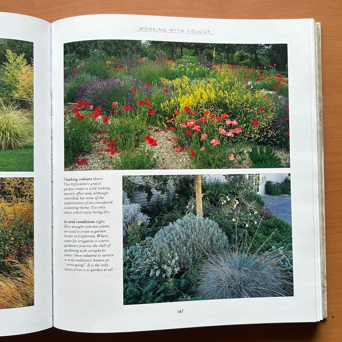 Garden Design - John Brookes image 16