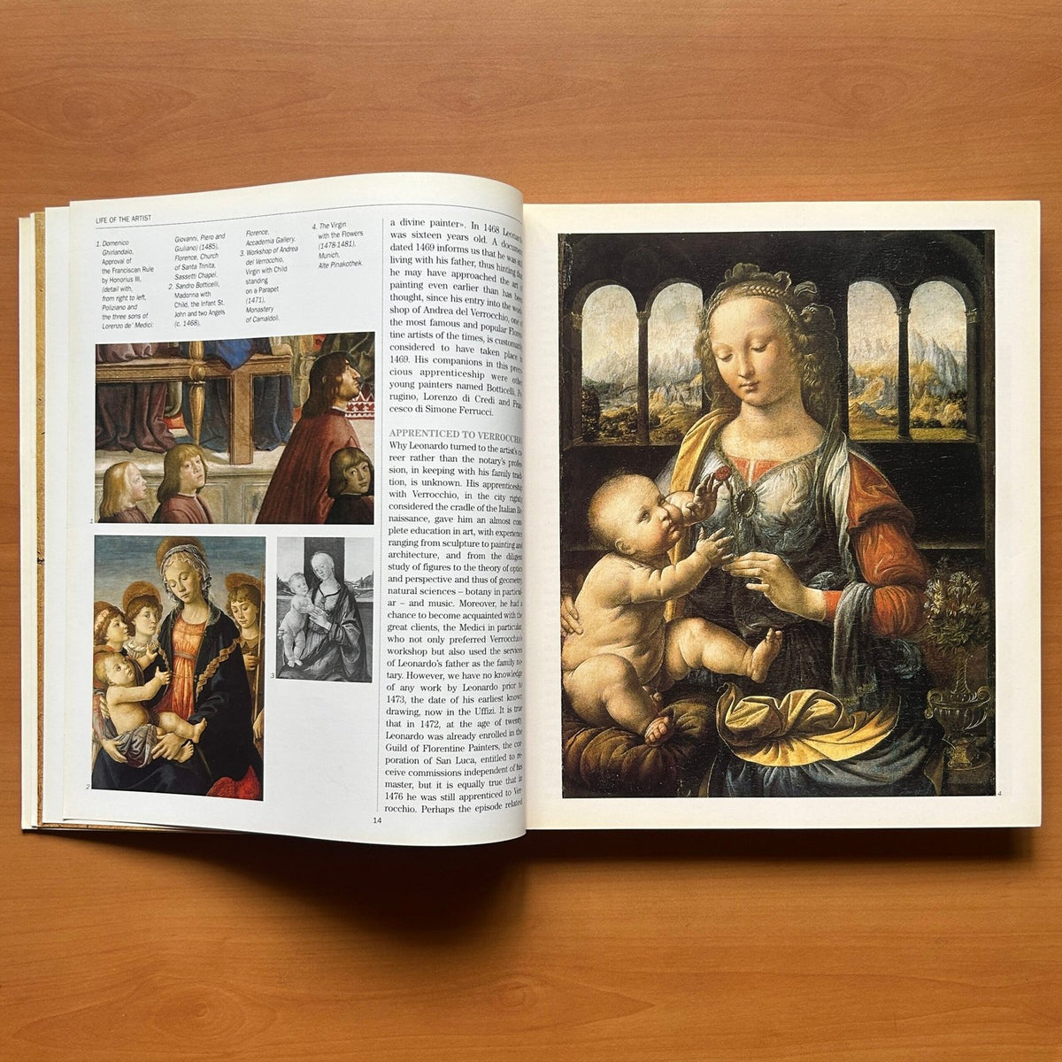 Leonardo da Vinci -  Carlo Pedretti image 6