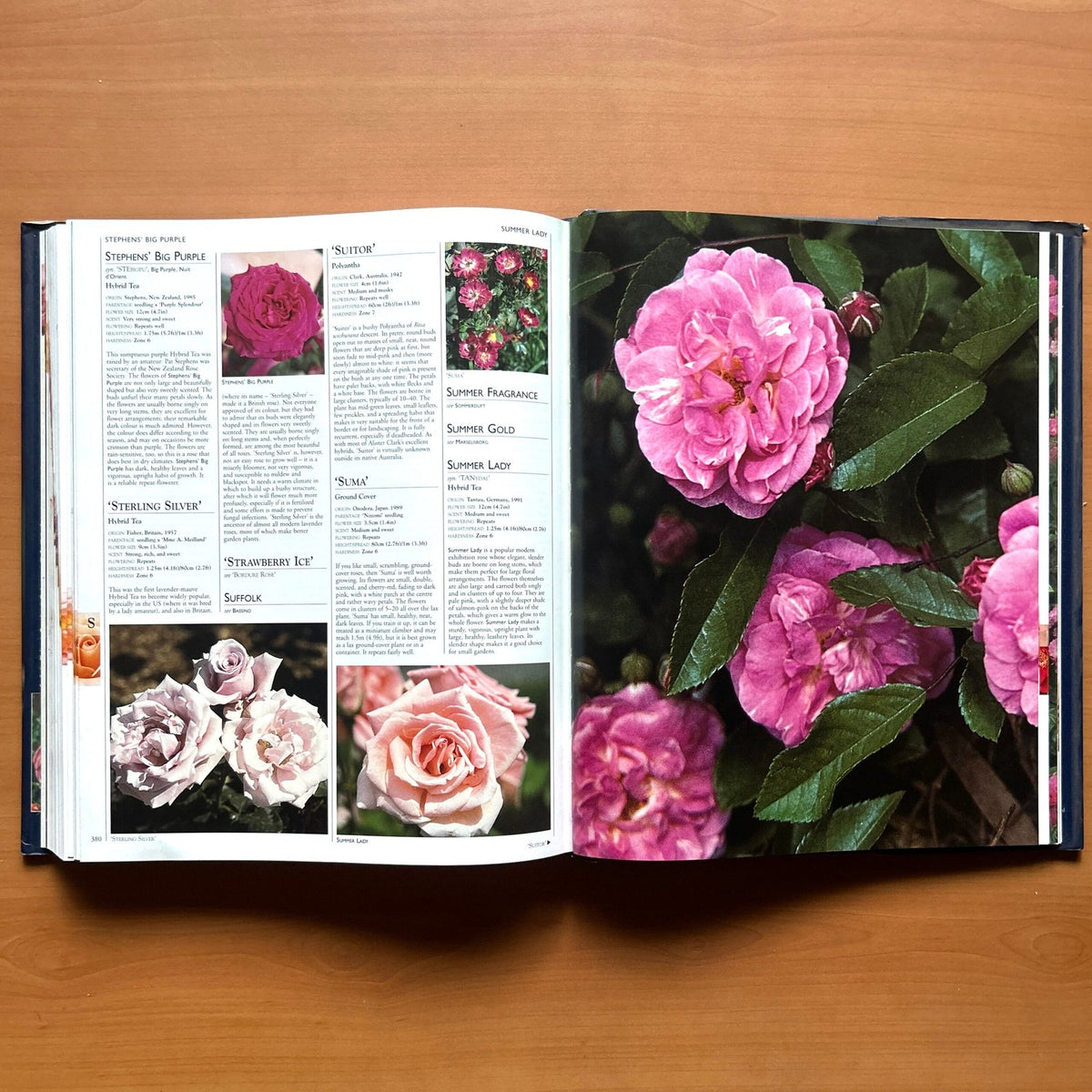 Encyclopedia of Roses  - Charles Quest-Ritson · Brigid Quest-Ritson image 13