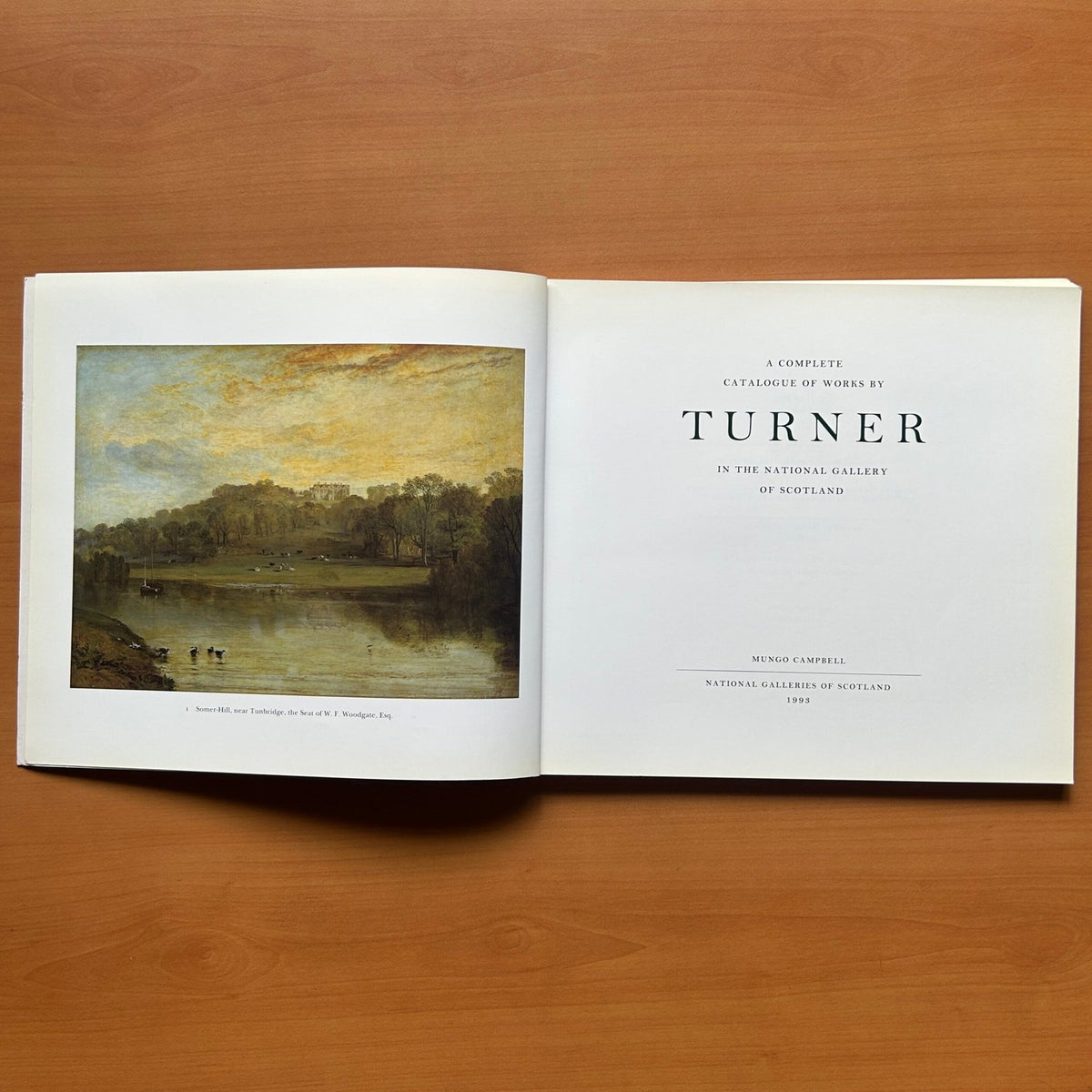 Turner  - Mungo Campbell image 1