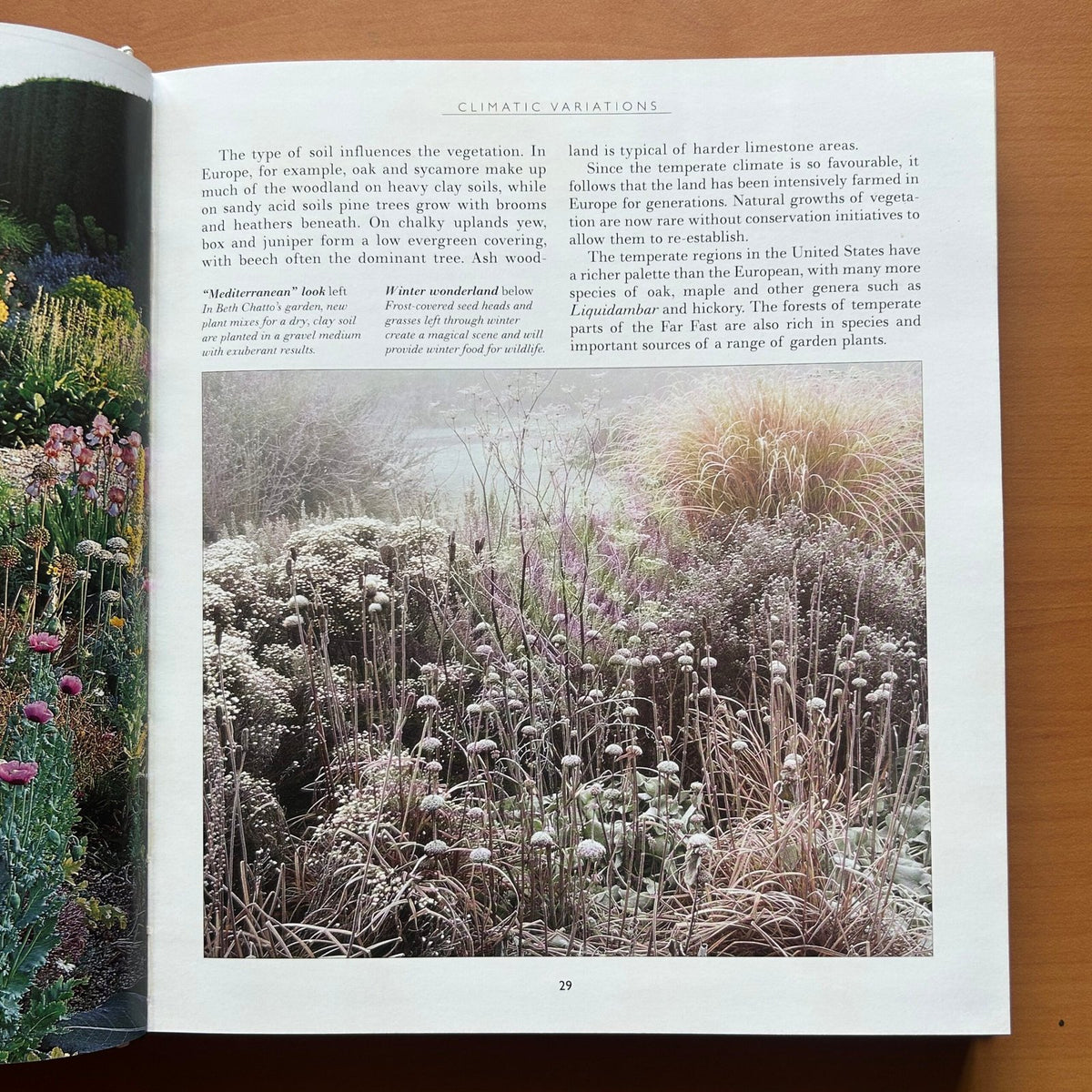 Garden Design - John Brookes image 10