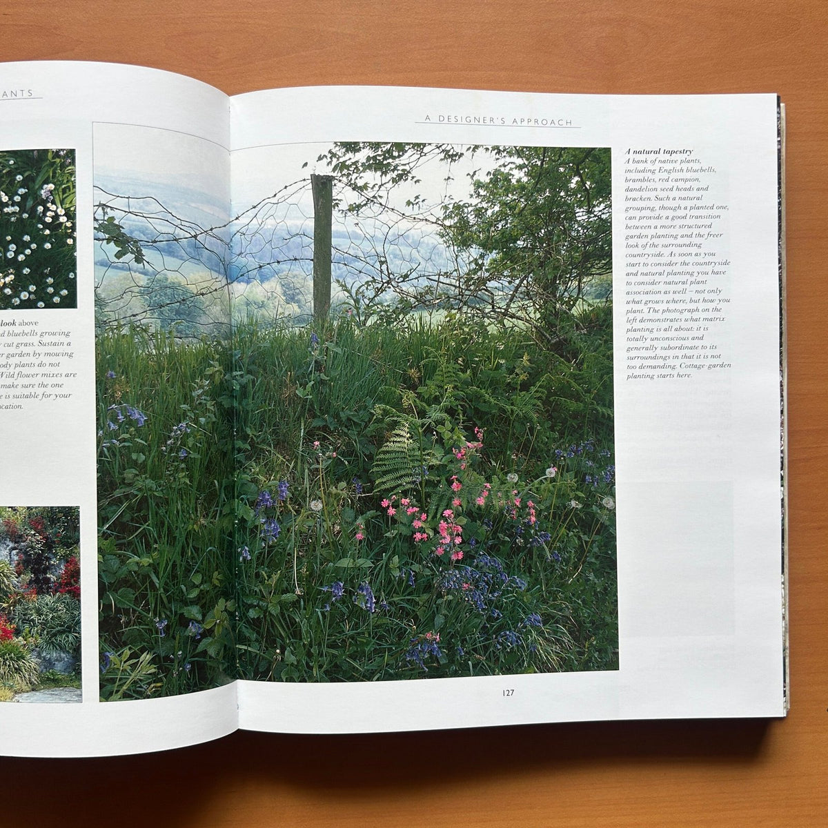 Garden Design - John Brookes image 14