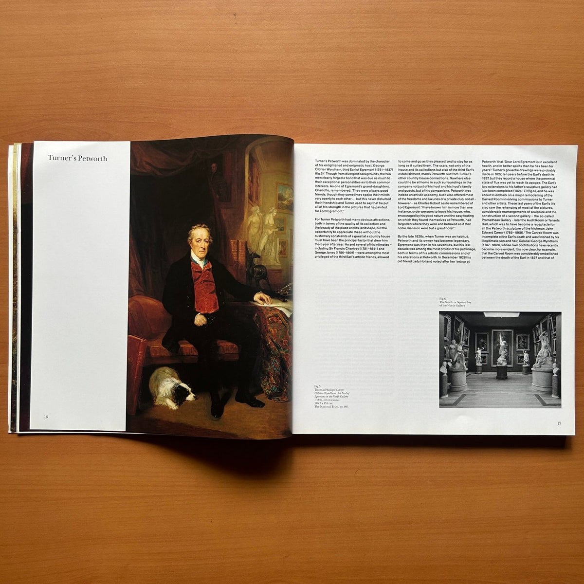 Turner at Petworth  - Christopher Rowell image 11