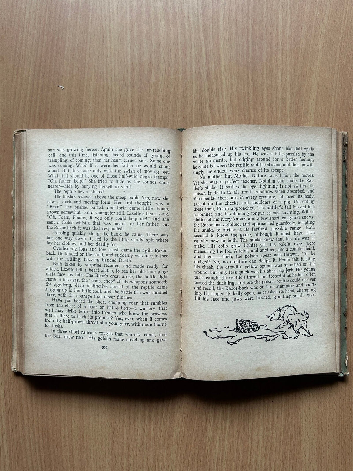 Lobo, The King of Currumpaw and Other Stories by Ernest Seton-Thompson image 4