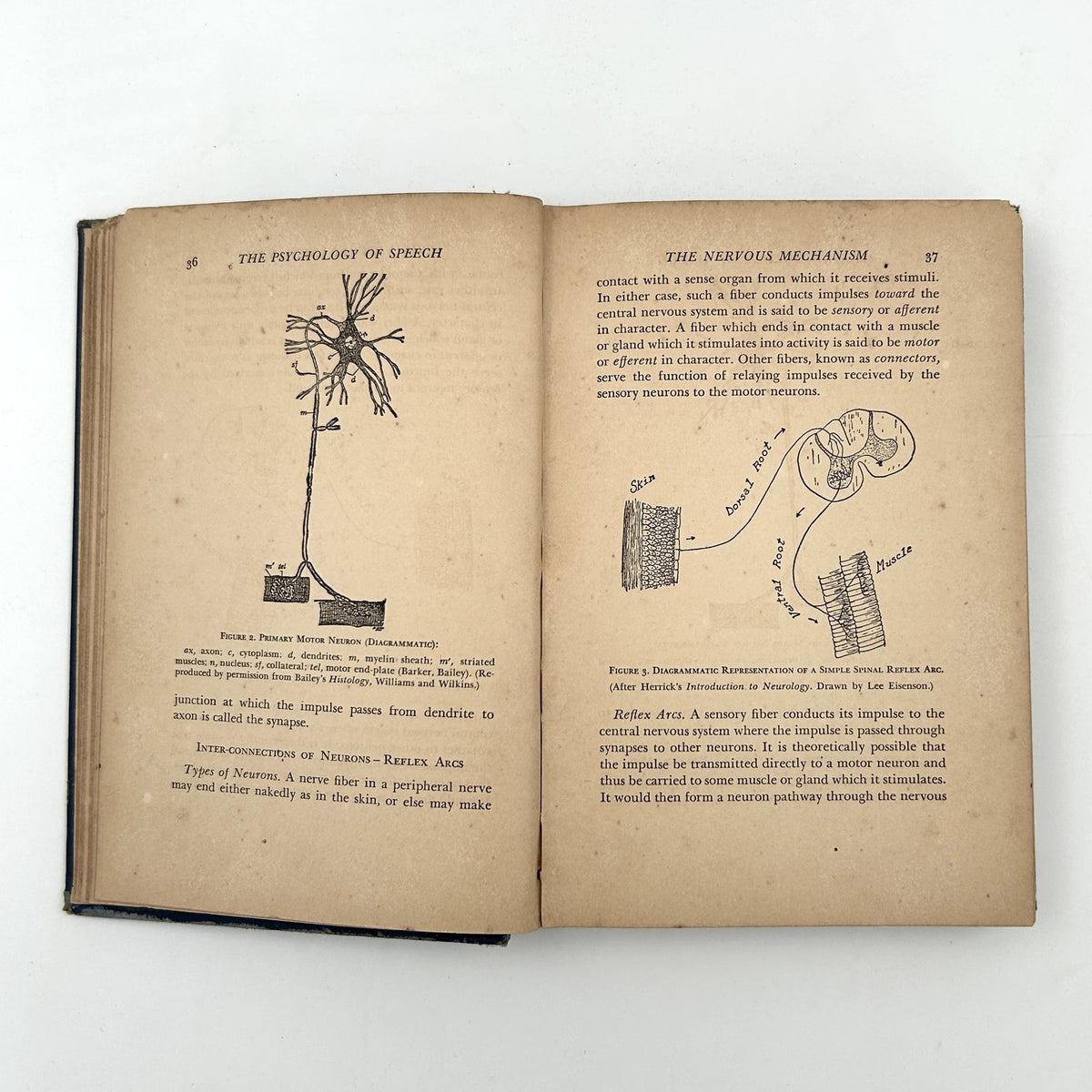 The Psychology of Speech by Jon Eisenson image 7