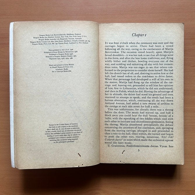 The Jungle  - Upton Sinclair image 3