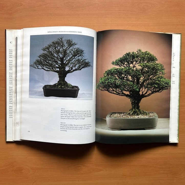 Bonsai Design: Deciduous and Coniferous Trees -  Peter D. Adams image 12