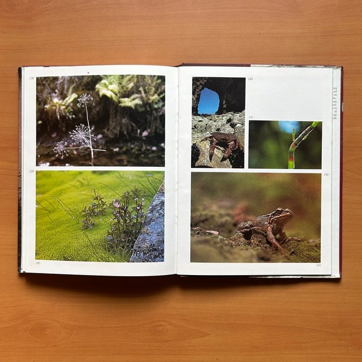 Creative Camera Techniques  -  Axel Brück image 10