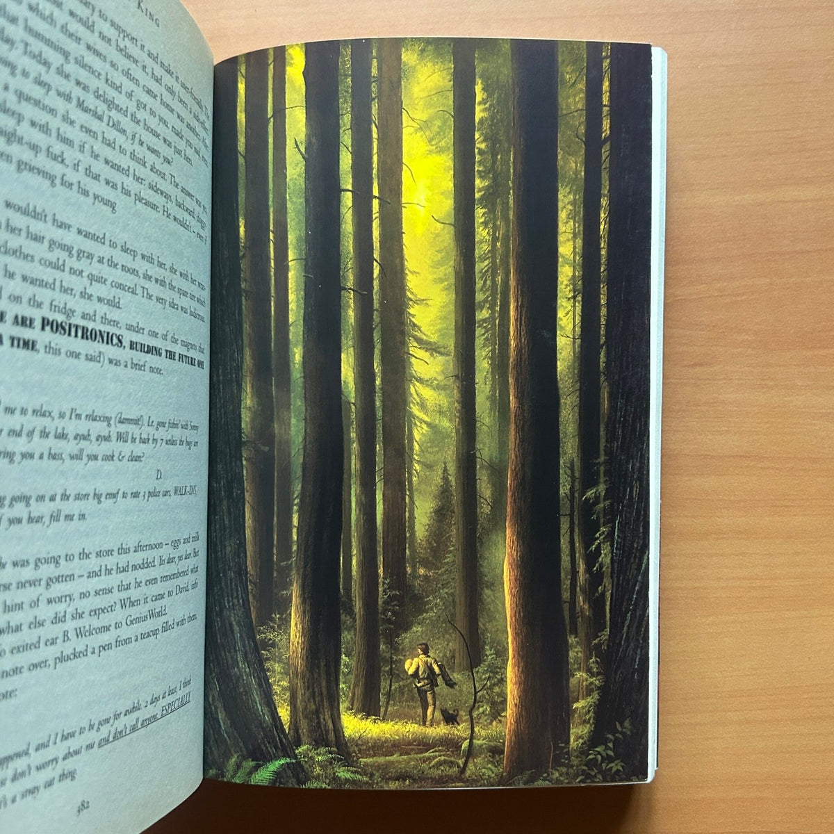 The Dark Tower  - Stephen King image 12