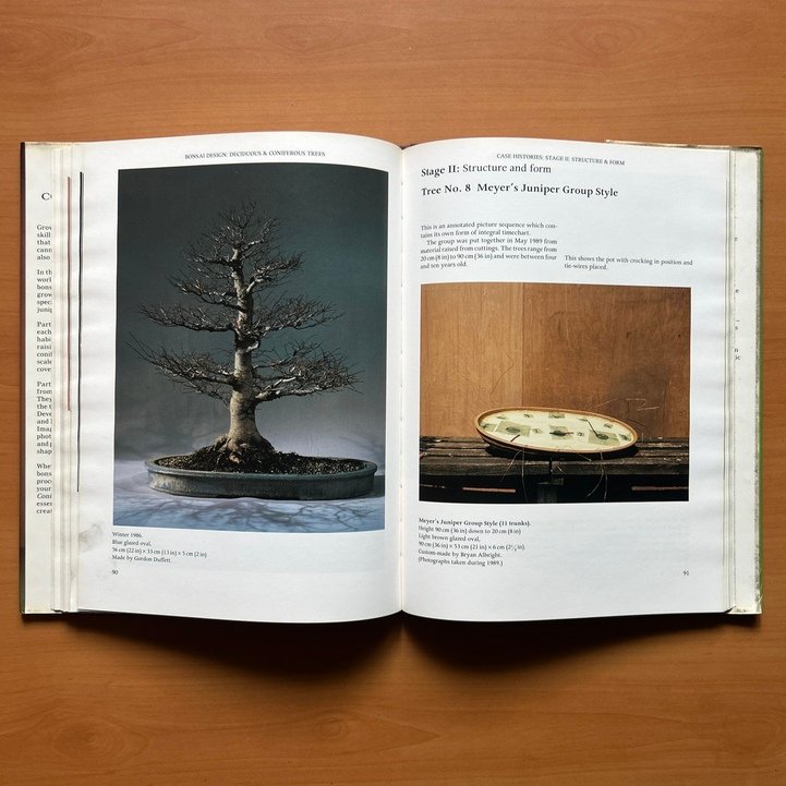 Bonsai Design: Deciduous and Coniferous Trees -  Peter D. Adams image 10