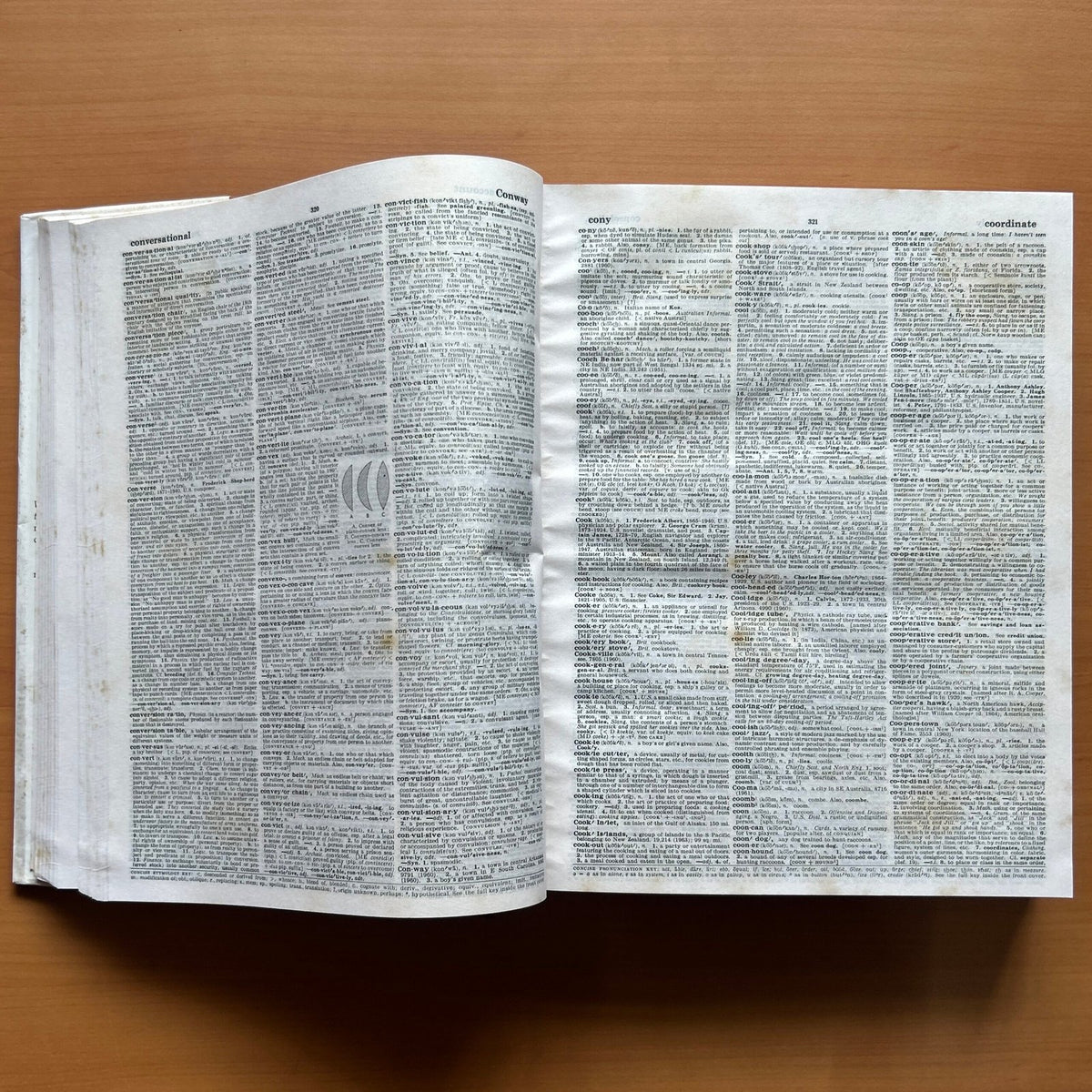 Webster’s Encyclopedic Unabridged Dictionary image 6