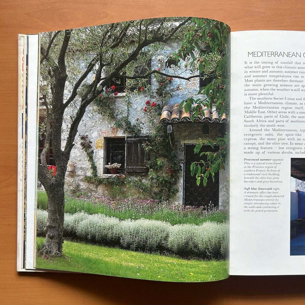 Garden Design - John Brookes image 11