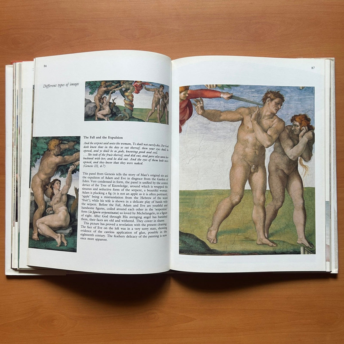 Michelangelo and the Creation of the Sistine Chapel  - Robin Richmond image 14