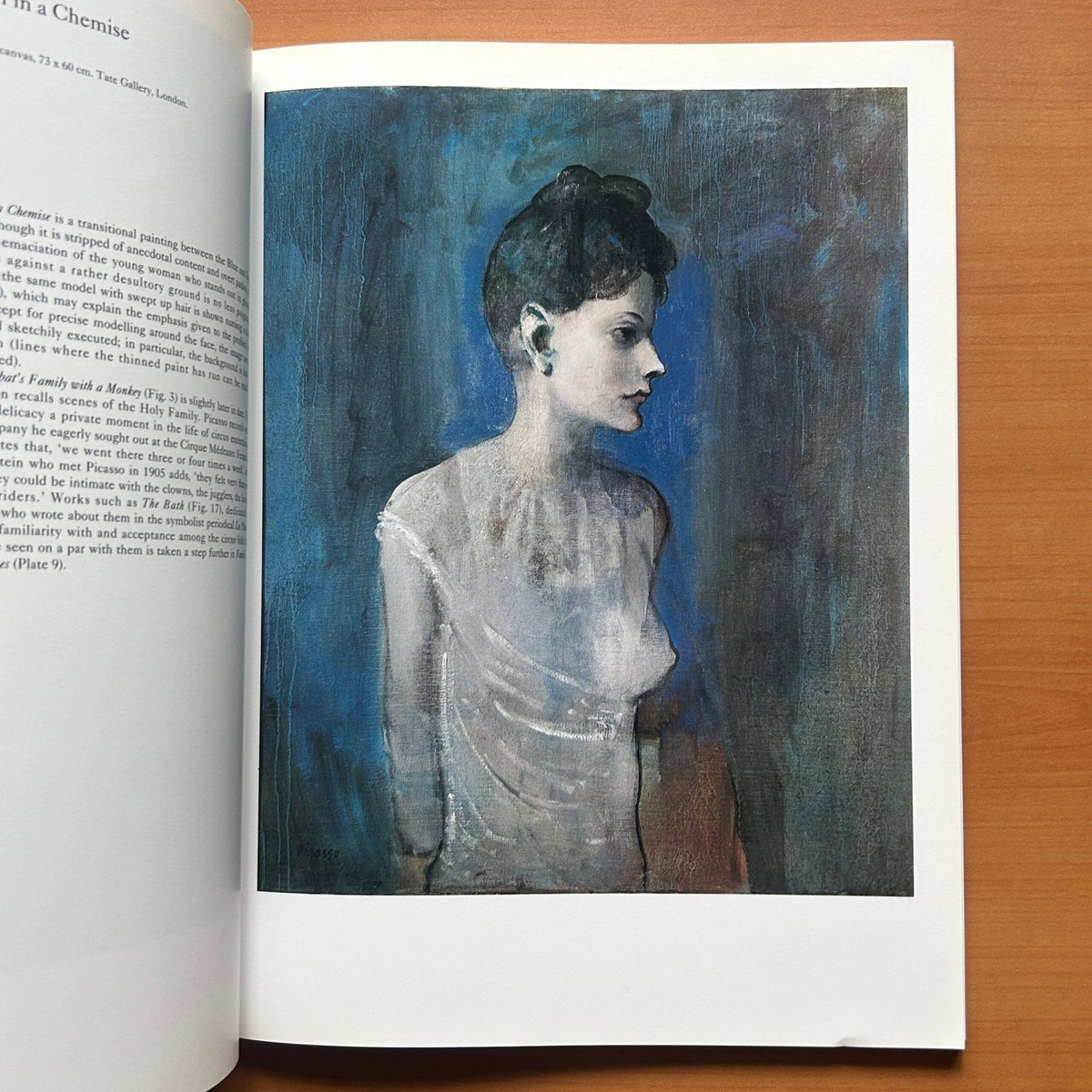 Picasso  - Roland Penrose image 12