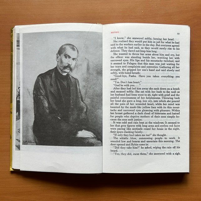 Mother - Maxim Gorky image 8