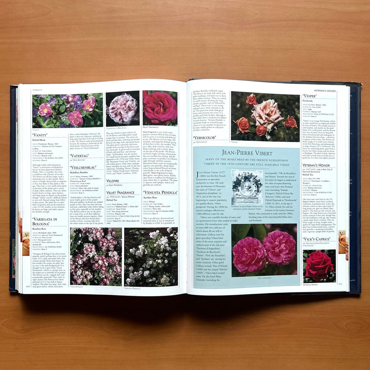 Encyclopedia of Roses  - Charles Quest-Ritson · Brigid Quest-Ritson image 15